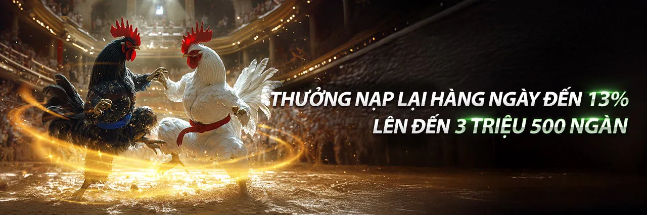 Đá Gà Trực Tuyến Hấp Dẫn tại okkinh liên kết mới